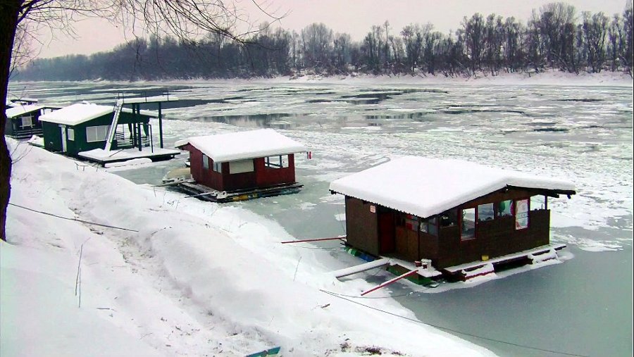 Zale�ena Sava 2012